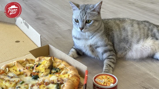 貓皇也能吃比薩了！必勝客推出史上第一款為貓咪量身打造的比薩罐頭