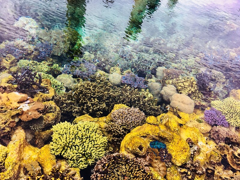 雪肌精守護藍色地球邁入第10年 邀請放浪兄弟exile 三代目j Soul Brothers 岩田剛典擔任冬季活動大使 Marie Claire 美麗佳人 雪肌精守護藍色地球邁入第10年 邀請放浪兄弟exile 三代目j Soul Brothers 岩田剛典擔任冬季活動大使 Marie Claire 美麗佳人