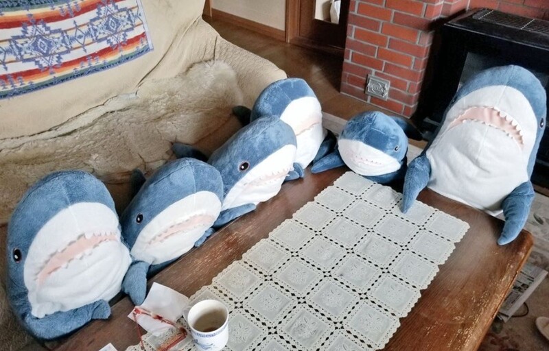 Photo/Twitter@ikeasame