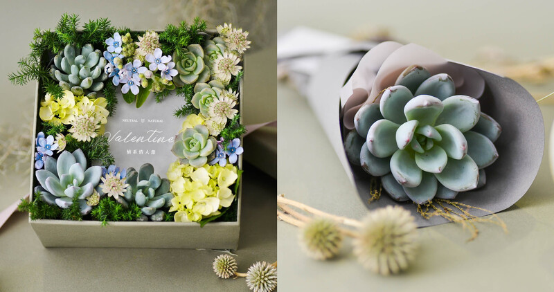 有肉推出中性色系的多肉花禮盒迎接最有 植感 的情人節 Marie Claire 美麗佳人