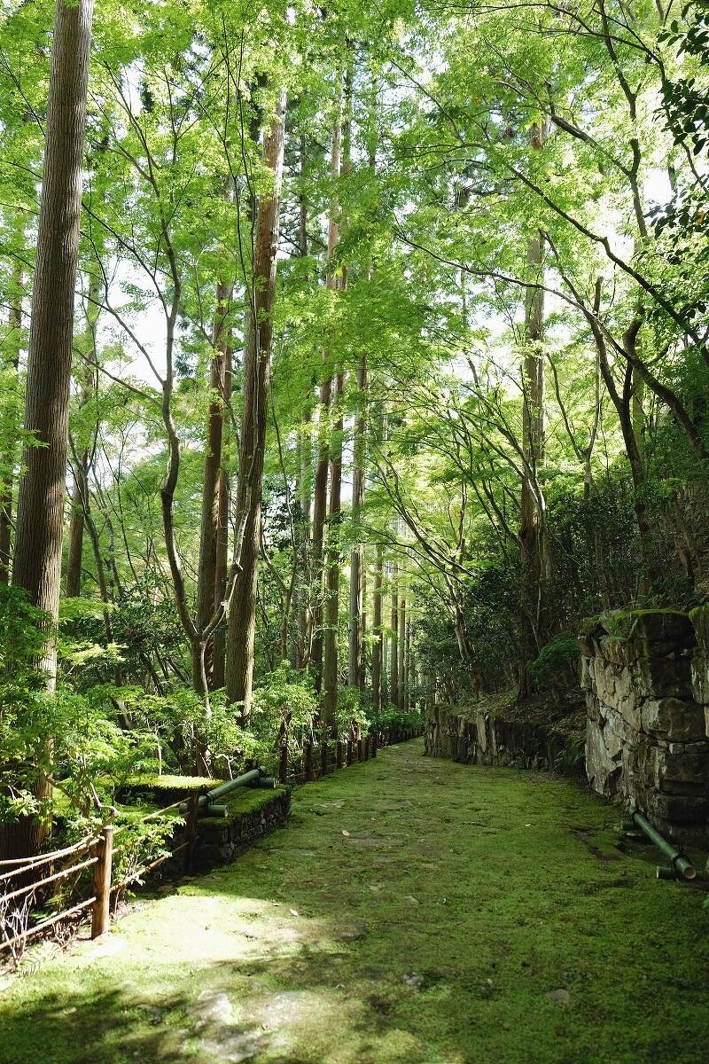 京都旅遊 嵐山竹林 祇園藝妓和寺廟 跟情人遊歷最浪漫的京都吧 Marie Claire 美麗佳人