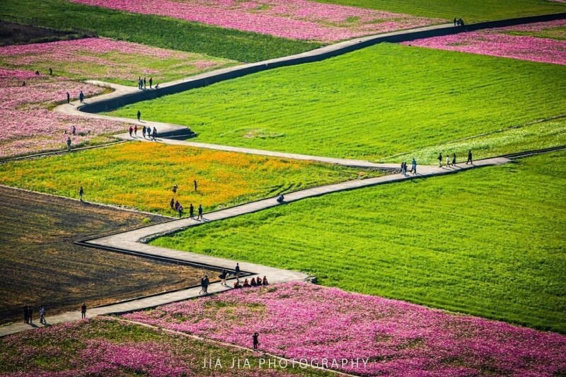 Photo/台中觀光旅遊網/tohse