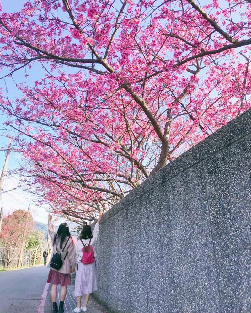 圖片來源:IG @anita60426