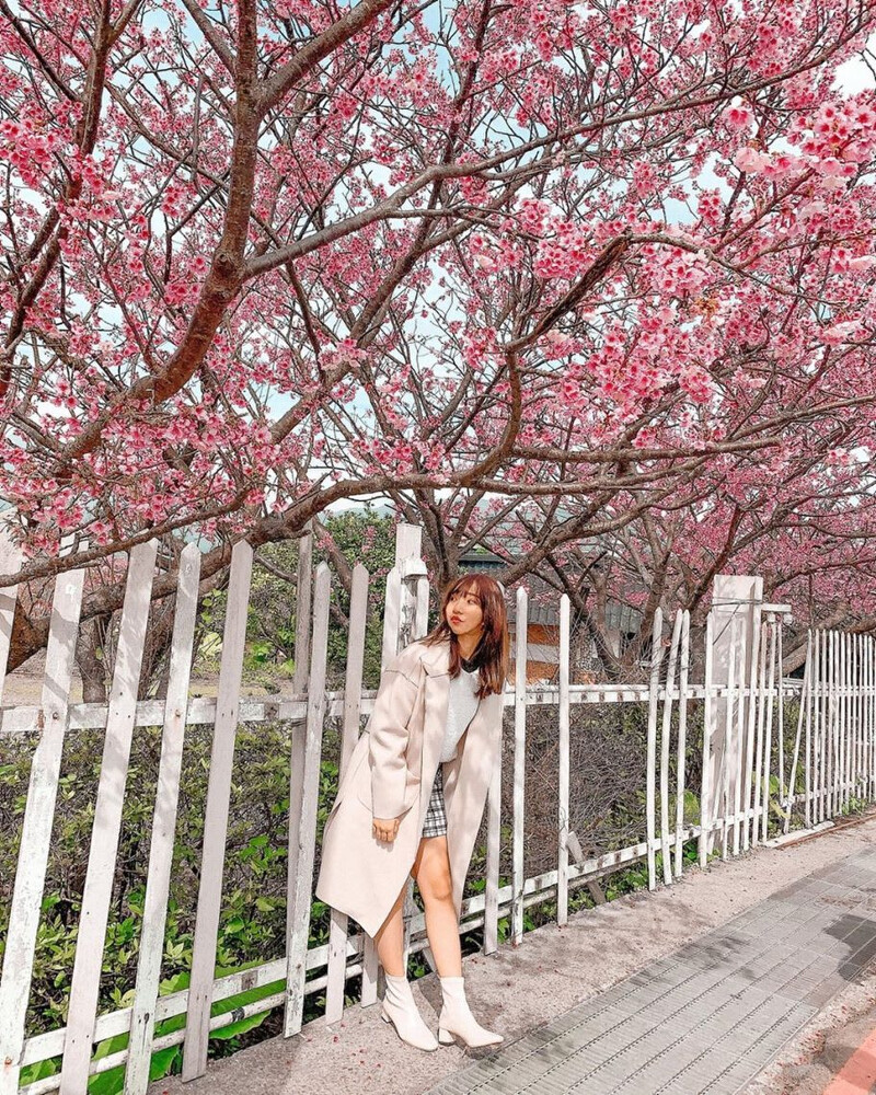 圖片來源:IG @lifetammy945_