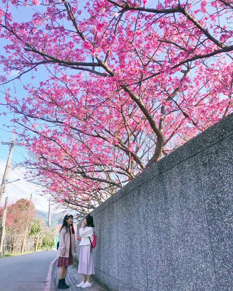 圖片來源:IG @anita60426