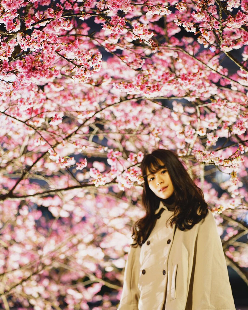 圖片來源:IG @catnip0309