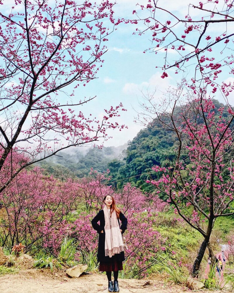 圖片來源:IG @chi_yu777