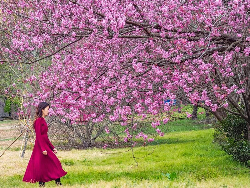 圖片來源:IG @molly888666