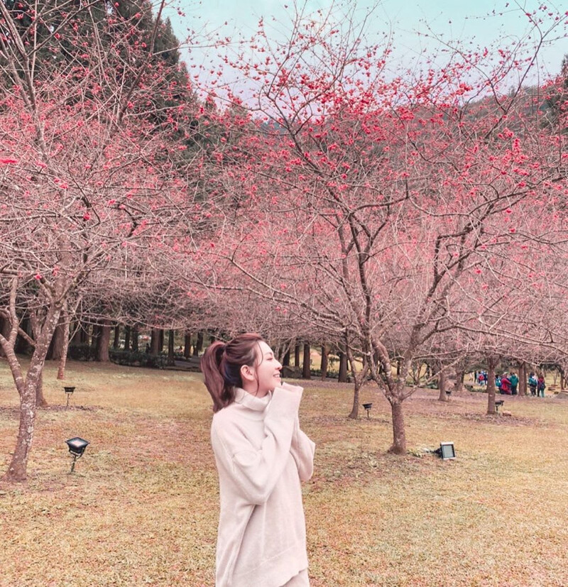 圖片來源:IG @lynn50520