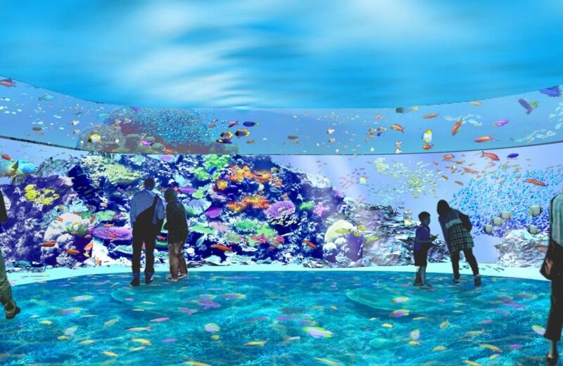桃園xpark水族館8 7開幕 超夢幻展區 票價 交通資訊曝光 Marie Claire 美麗佳人