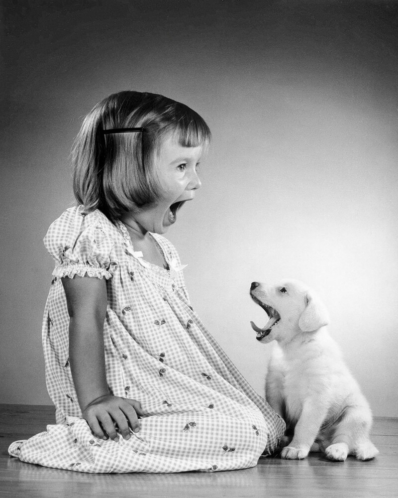 ©Estate of Walter Chandoha