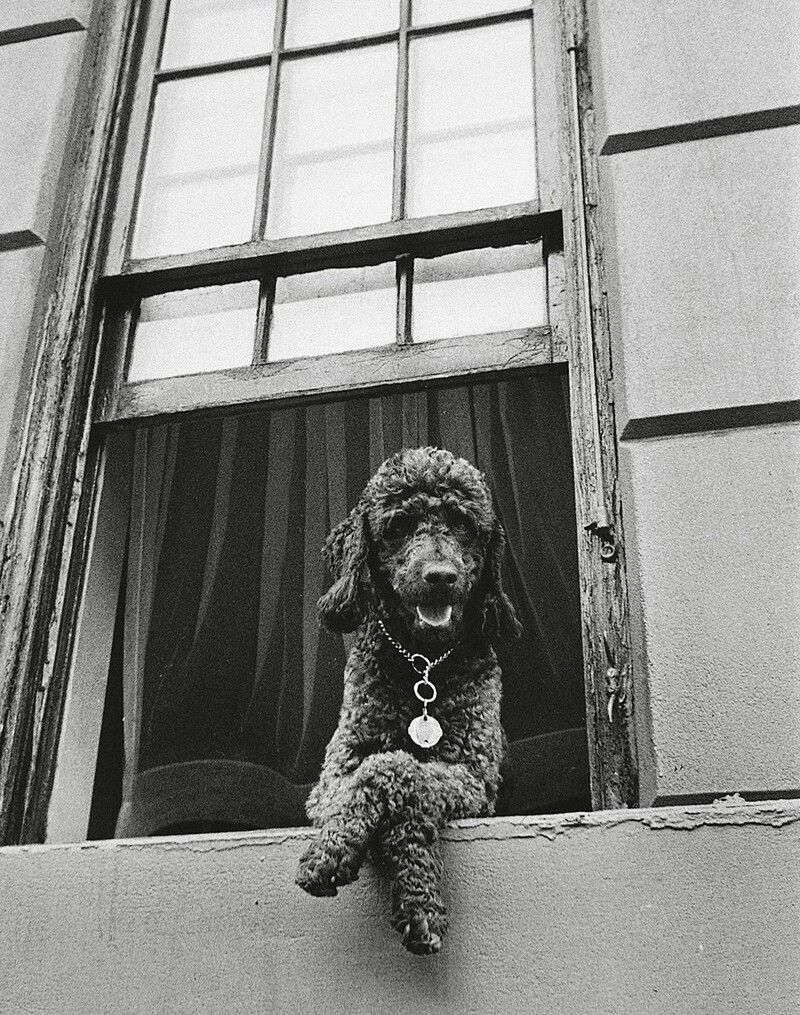 Todd Webb, 79th Street, New York, 1952, Courtesy Yancey Richardson Gallery, New York.
