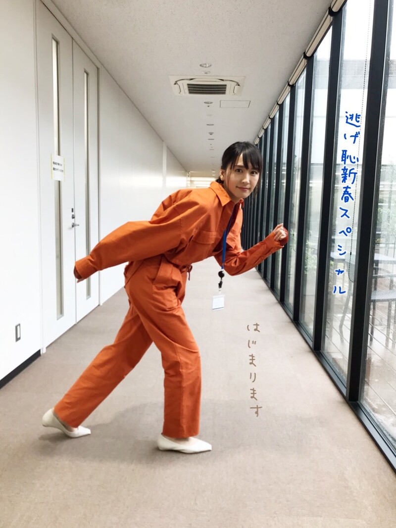 月薪嬌妻新春特別篇/新垣結衣