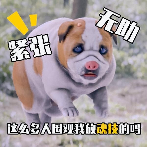 Photo/斗羅大陸微博