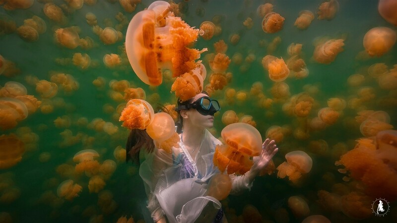 水母湖