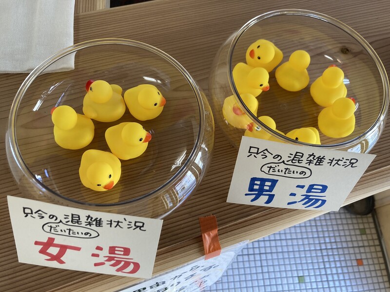 ▲澡堂老闆用小鴨「再現」浴池內部情況。(圖/翻攝自にんじん湯@豊橋 Twitter)