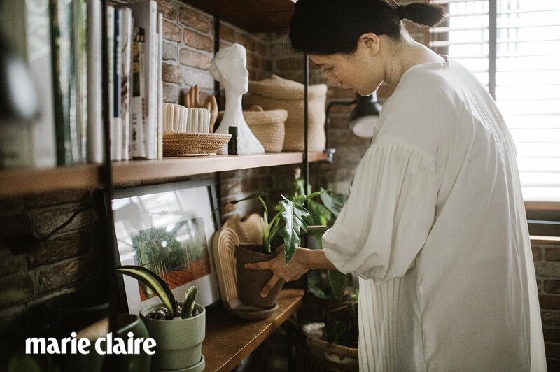 11:00am 為出門做一些準備工作:下午大多在處理工作事務,通常需要在不同地點移動,可能是工作室或是園藝店,偶爾還需要搭車到外縣市幫客人找植物。