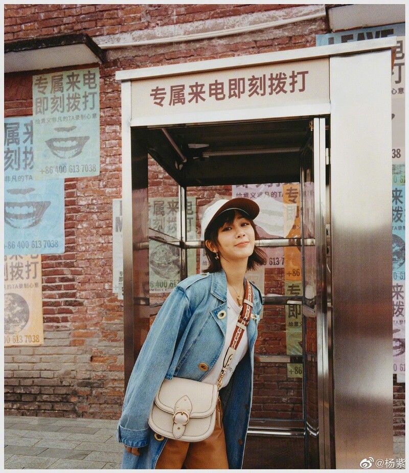 楊紫