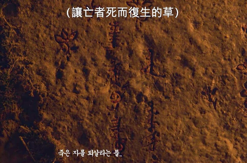 「國師堂」壁畫寫出了「生死草」警語&使用方法