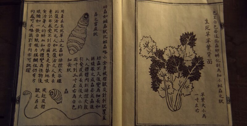《雅信傳》&《屍戰朝鮮》「生死草」屍變&傳播方式不同