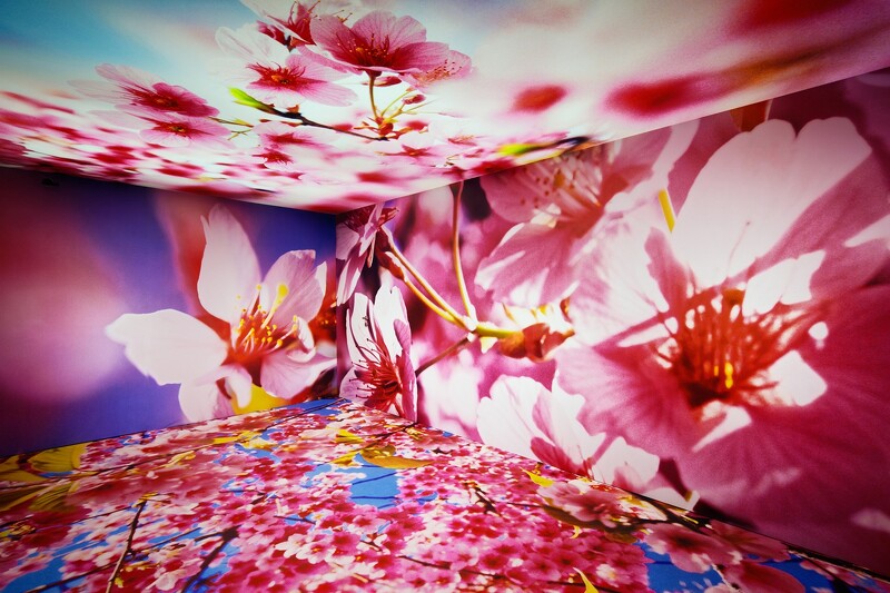 梵克雅寶X蜷川實花共同創作「Florae 花卉」珠寶展現場