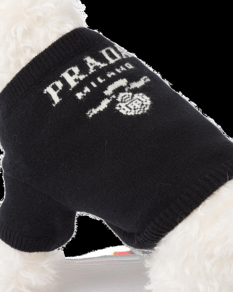 Prada寵物喀什米爾羊絨毛衣,NT17,000