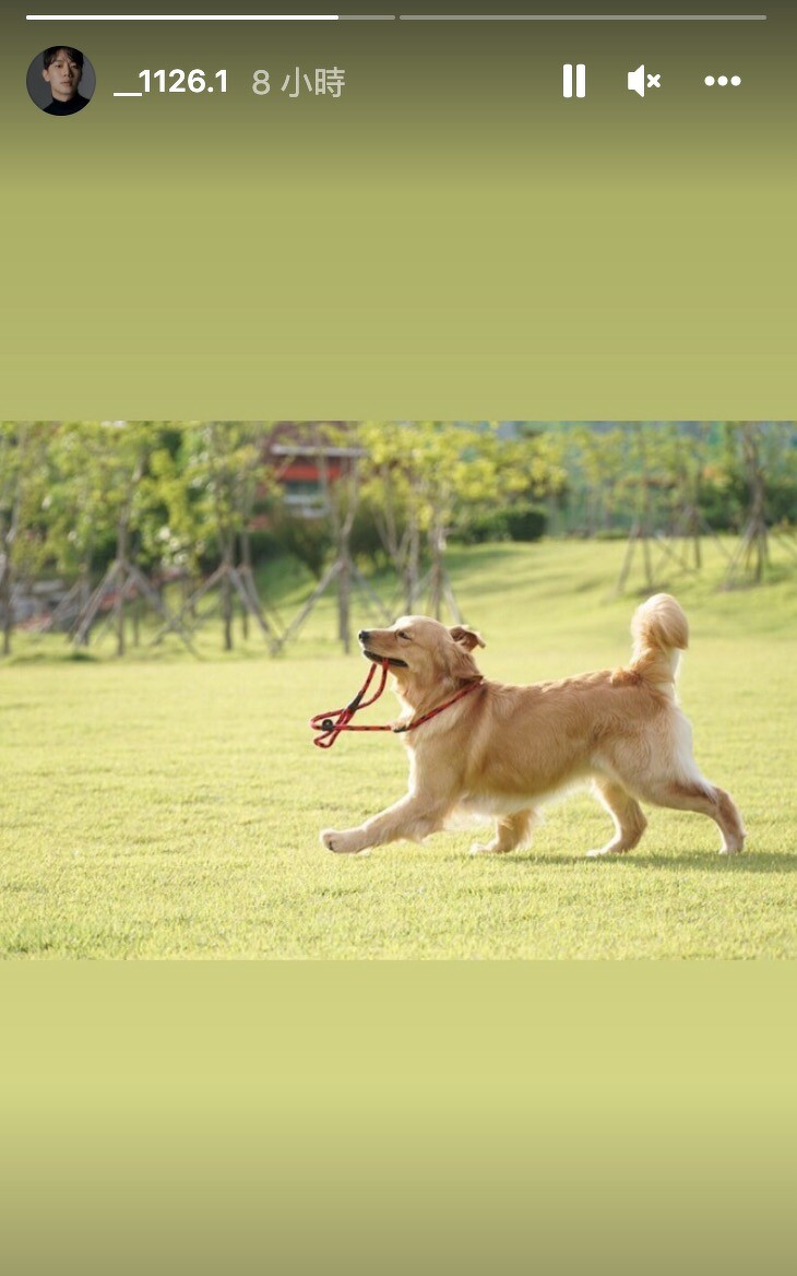 金賢中貼出狗狗動態宣示主權?