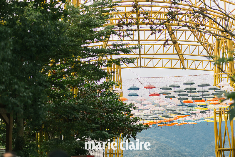 花蓮富里怎麼玩 必訪景點羅山有機村 慢步竹林步道 文青農會超市