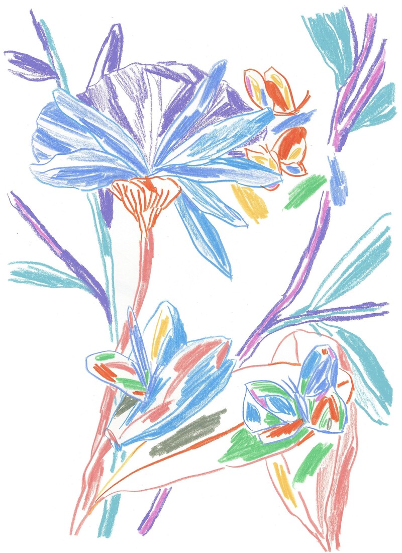Van Cleef & Arpels梵克雅寶攜手法國藝術家Alexandre Benjamin Navet創作繁花盛放的春日詩意花園插畫