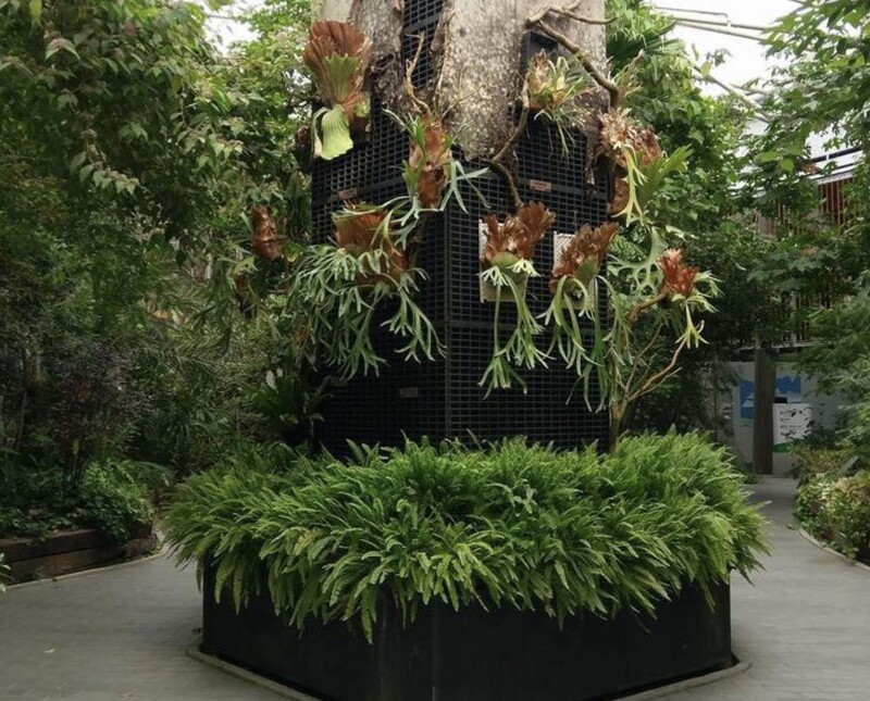 圖片來源/台北典藏植物園 官網