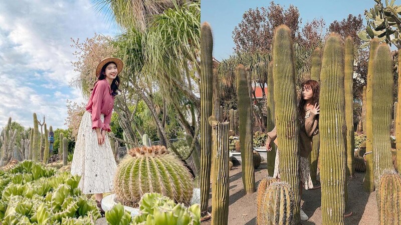 Photo/IG @ misameng_ 、IG @ _zhuhan.xiao 授權提供