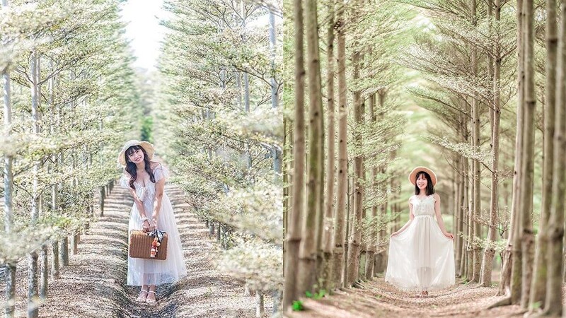 Photo/IG @qqsweet1982、IG @garboodiary 授權提供