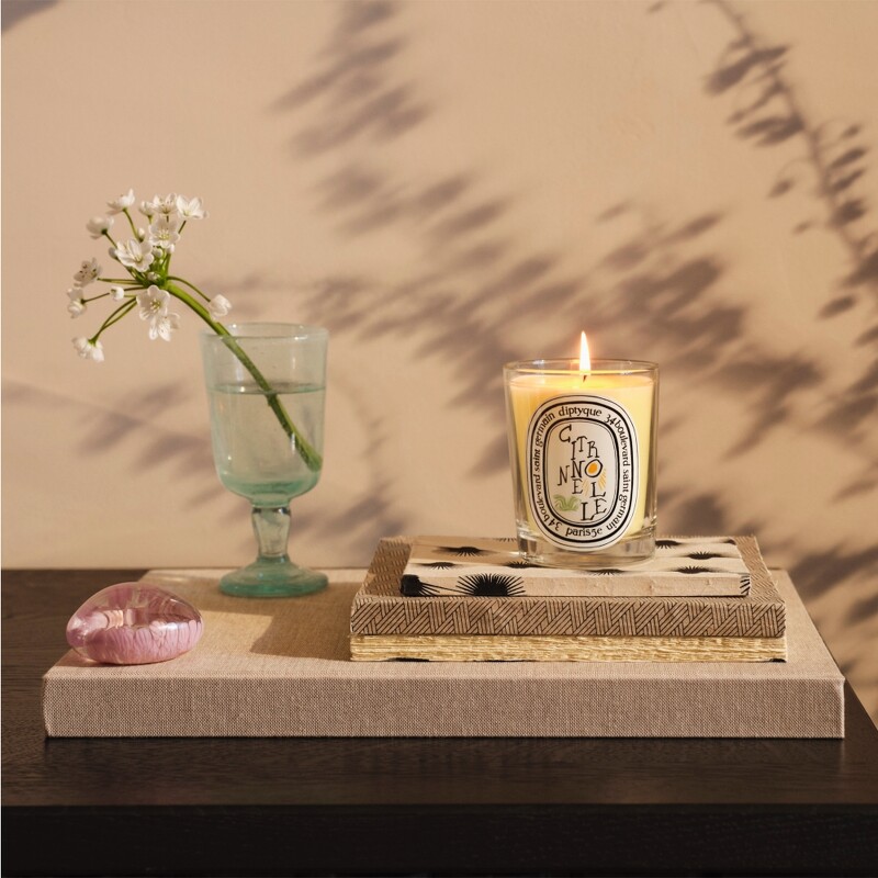 diptyque 2022夏季限量檸檬草香氛蠟燭190g,NT2,100