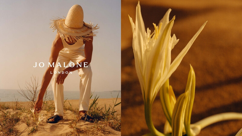 Jo Malone London 2022年地中海花園系列全新限量登場。右為地中海水仙花。