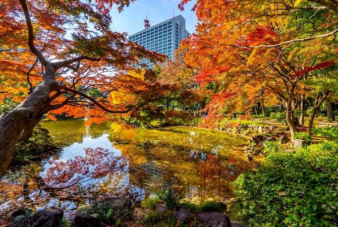 Photo/www.gotokyo.org