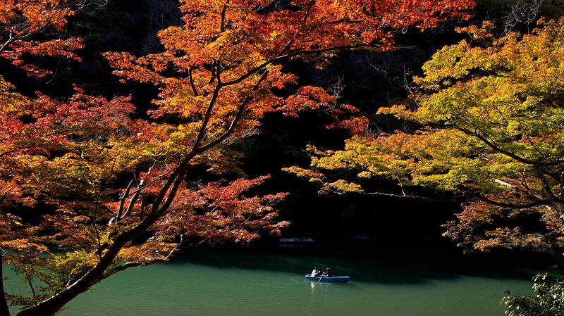 秋天就是要賞楓 盤點日本7大楓葉名所 夢幻山水畫 京都 紅葉窗景 唯美指數破表 Marie Claire 美麗佳人