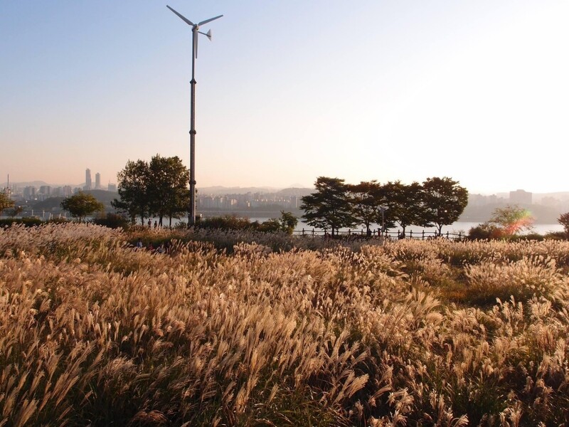 韓國首爾天空公園。