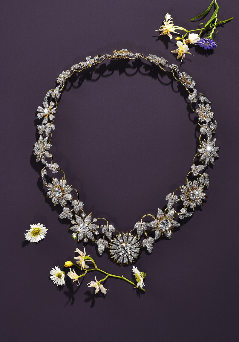 Tiffany & Co. Blue Book BOTANICA 高級珠寶系列Jean Schlumberger 18K黃金及鉑金鑲鑽花葉造型項鏈