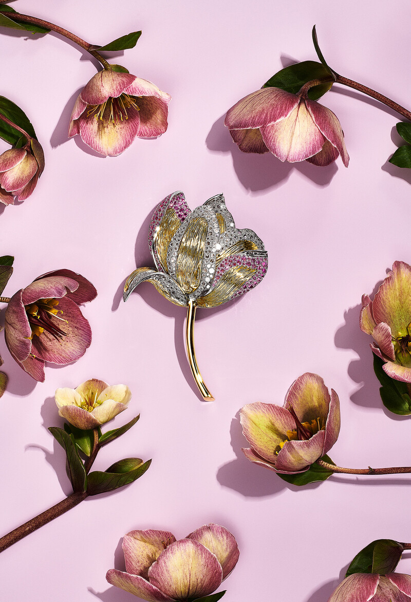 Tiffany & Co. Blue Book BOTANICA 高級珠寶系列鉑金和18K金胸針,鑲嵌粉紅色藍寶石和鑽石。