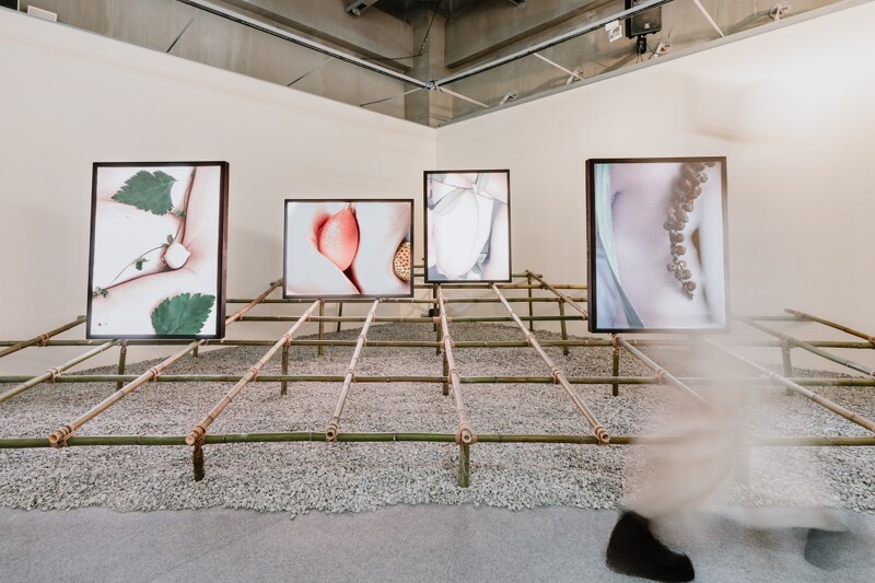 採食展區。