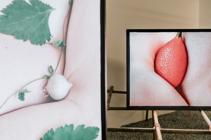 採食展區。