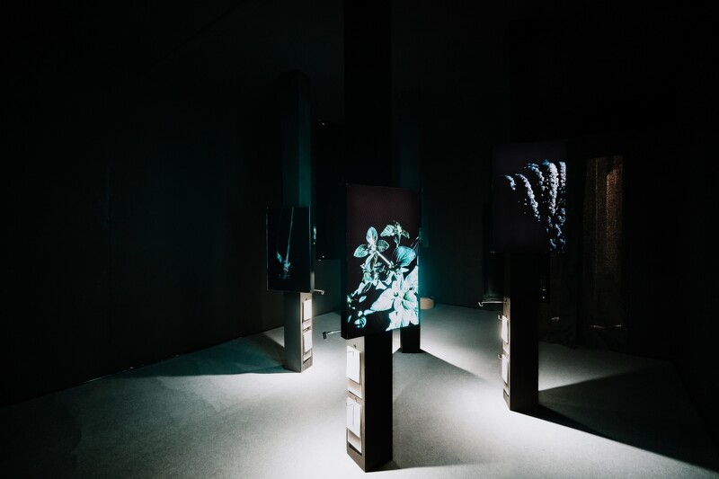 呼吸展區。