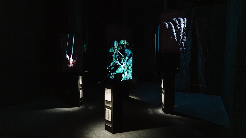 呼吸展區。