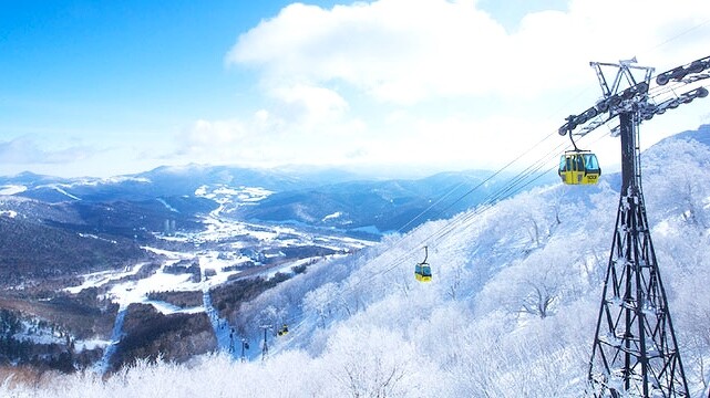 Photo／www.snowtomamu.jp