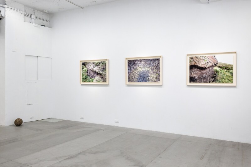 展覽現場。
