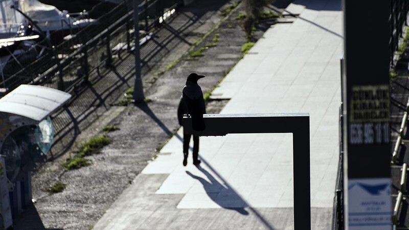 Serkan Tekin - Crow Man