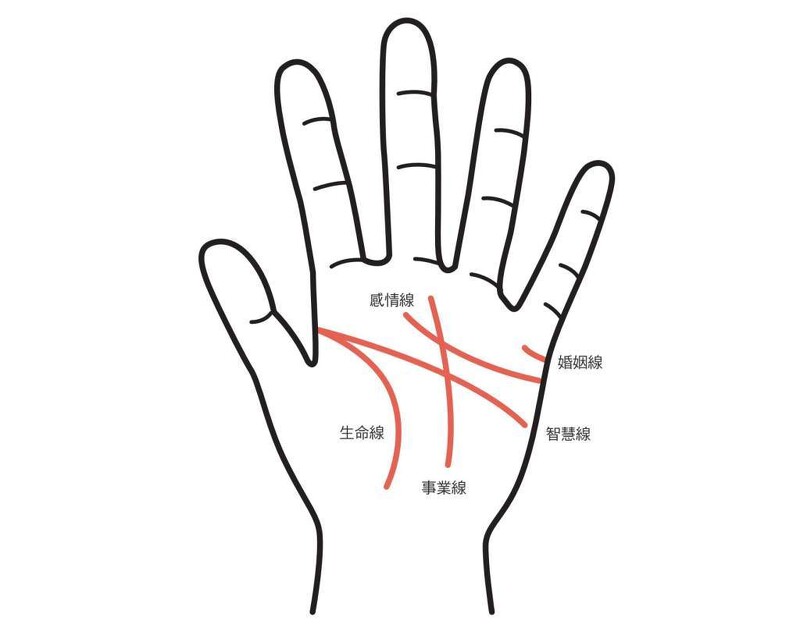 手相怎麼看？感情線、智慧線、生命線在哪裡？長度、走向入門解析攻略