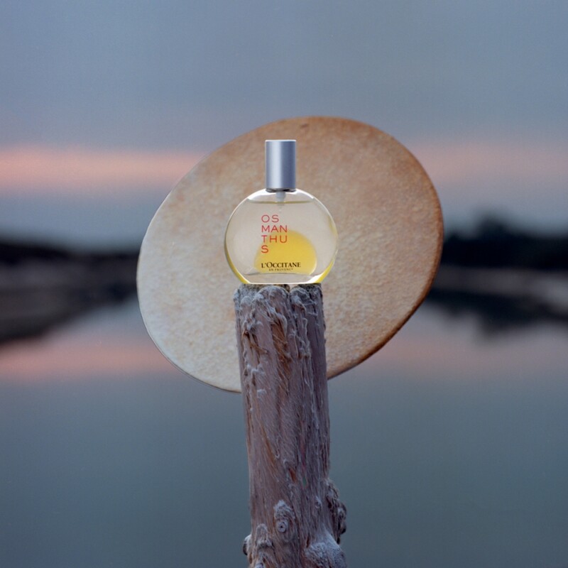 L'OCCITANE歐舒丹桂花精油香水情境照。