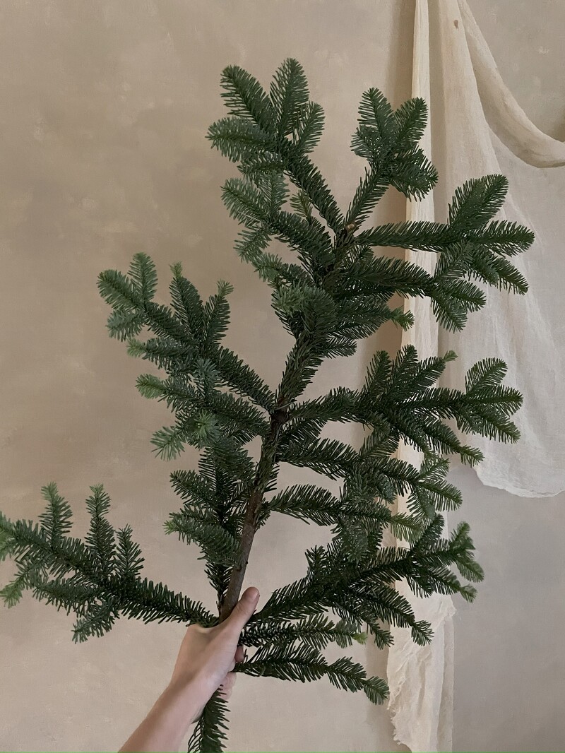 圖片來源:島上花事