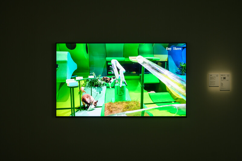 《貴族貓宮》 Cat Royale。攝影/王世邦 ANPIS FOTO